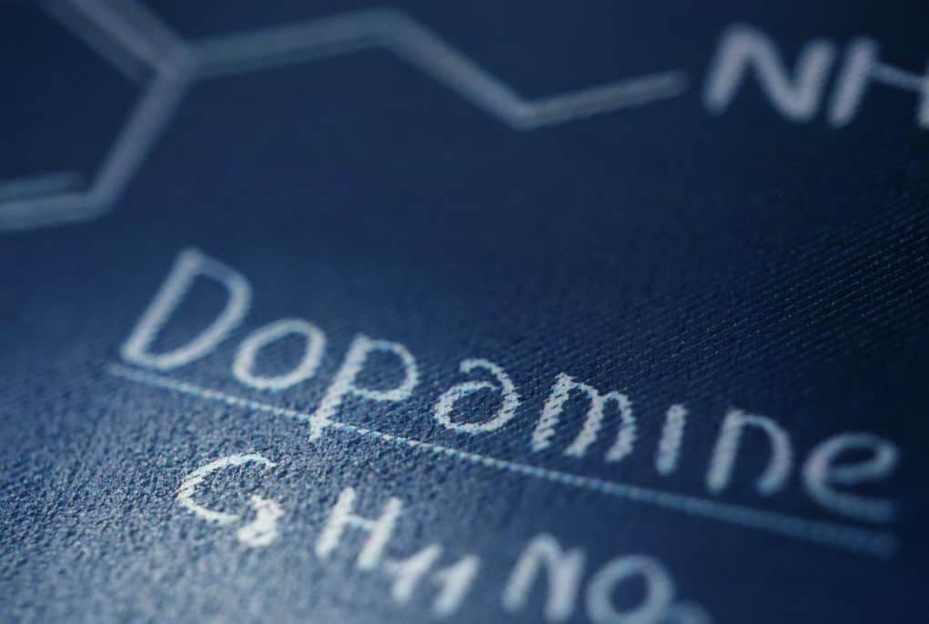 The Substance Abuse and Mental Health Services Administration lists dopamine as a main culprit in addiction