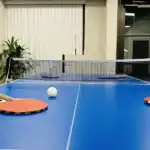 Right_Path_RecoveryRio_IOP01 - Right Path Recovery San Diego - Right Path Recovery San Diego Table tennis setup in an office: blue ping-pong table, net, paddles at each end, and a ball near the center.