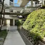 Right_Path_RecoveryRio_IOP21 - Right Path Recovery San Diego - Right Path Recovery San Diego Concrete pedestrian path beneath elevated walkways with railings, greenery on the right and a black patio umbrella nearby.