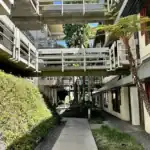 Right_Path_RecoveryRio_IOP25 - Right Path Recovery San Diego - Right Path Recovery San Diego Outdoor walkways with white railings between two buildings, a concrete path, and greenery under a blue sky.