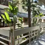 Right_Path_RecoveryRio_IOP36 - Right Path Recovery San Diego - Right Path Recovery San Diego Sunlit elevated walkway beside a beige building with large tropical plants and a tall tree casting shadows.