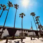 Right_Path_RecoveryRio_IOP46 - Right Path Recovery San Diego - Right Path Recovery San Diego Tall palm trees line a sunny courtyard in front of a modern office building; bright blue sky and sun glare in the background.